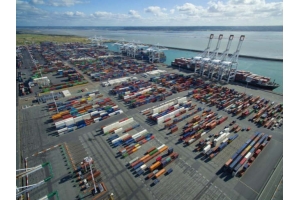 印度PSE應通過高級別出口戰略委員會(CII)促進出口