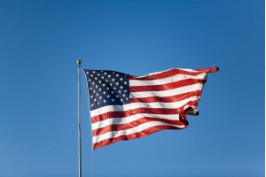 疫情期間美國(guó)寵物商機(jī)暴增，特惠美國(guó)專線助您發(fā)貨