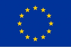 賣家發(fā)貨歐洲如何正確使用IOSS物流解決方案