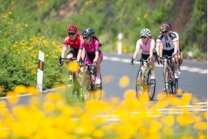 歐洲市場對自行車需求旺盛，銷售額激增了40%