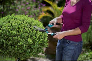 俄羅斯速賣通暢銷商品盤點：園藝用品需求激增