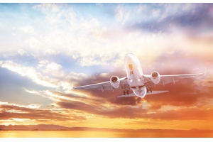 日本專線莊家貨代，一手資源特價渠道