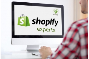 Shopify：引領你通往代發貨之路