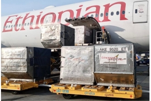 跨境國際快遞物流各種渠道運費和時效都是怎樣的？