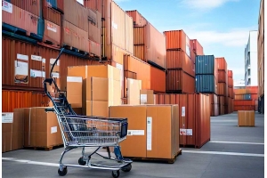 跨境云倉與獨立站協同運營：如何通過數據打通提升轉化率30%?