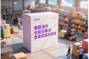 美國海外倉能否解決直發賣家的困境